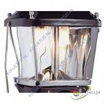 Coleman Lantern Globe Stellia (Glas)