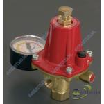 Gimeg Instelbare gasdrukregelaar N-603 manometer afblaasbeveilging 0-2bar 40kg